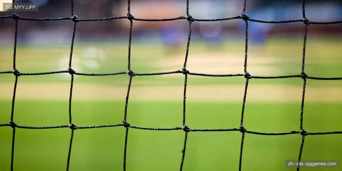 🎮 实时弹幕，互动不停！边看边聊，你的声音让直播更有温度！