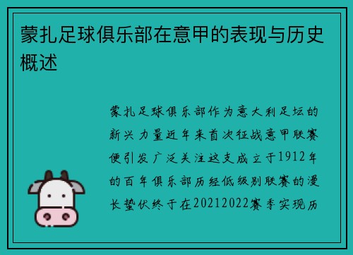蒙扎足球俱乐部在意甲的表现与历史概述